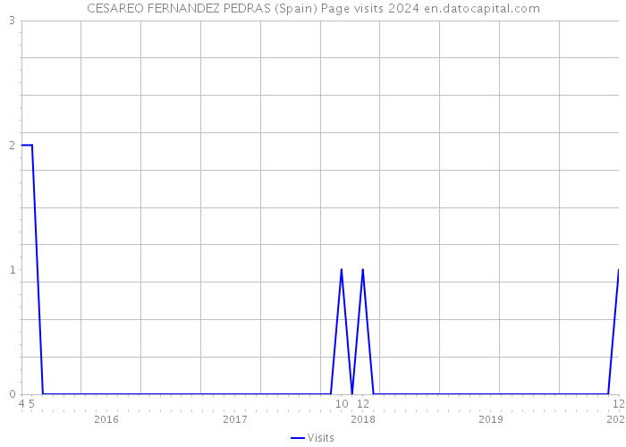 CESAREO FERNANDEZ PEDRAS (Spain) Page visits 2024 