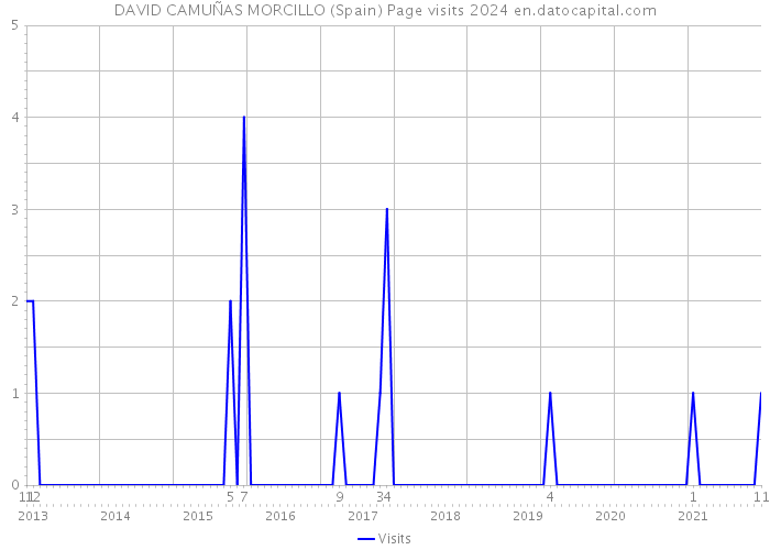 DAVID CAMUÑAS MORCILLO (Spain) Page visits 2024 