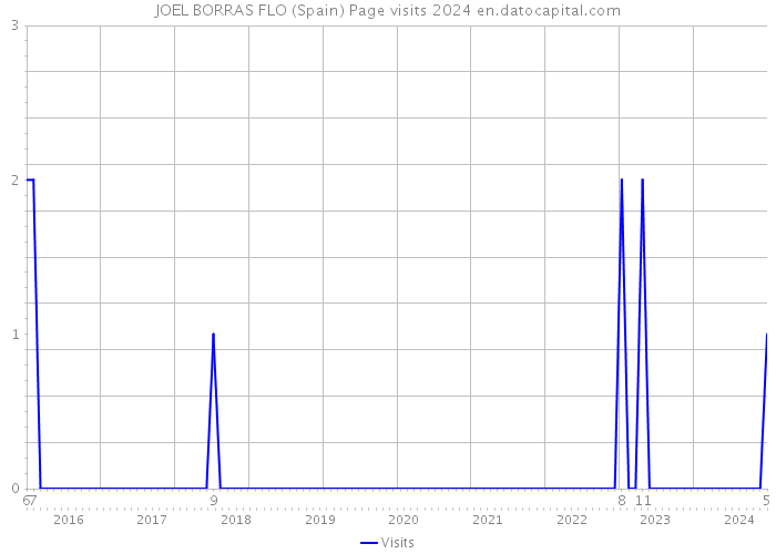 JOEL BORRAS FLO (Spain) Page visits 2024 