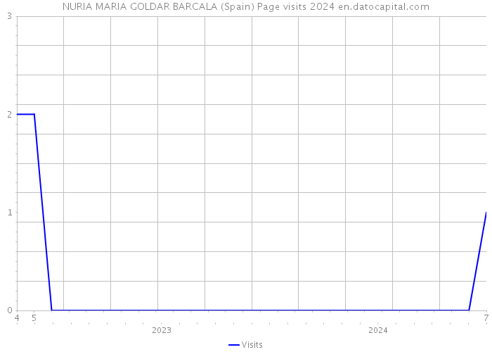 NURIA MARIA GOLDAR BARCALA (Spain) Page visits 2024 