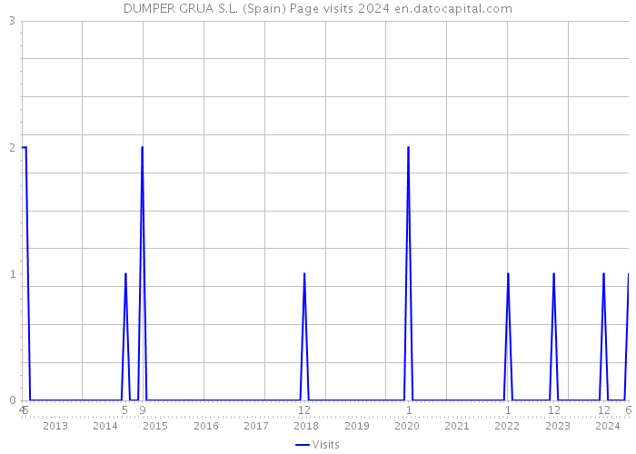 DUMPER GRUA S.L. (Spain) Page visits 2024 