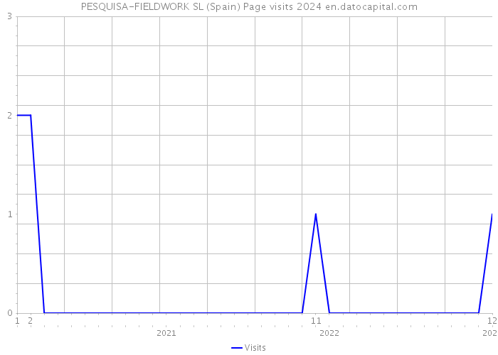 PESQUISA-FIELDWORK SL (Spain) Page visits 2024 