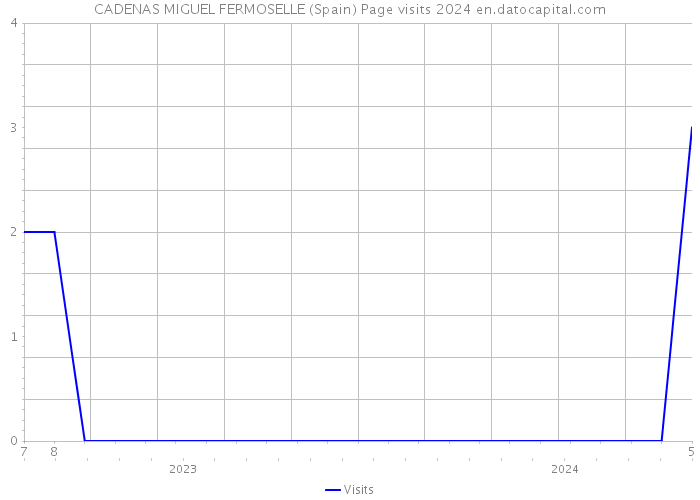 CADENAS MIGUEL FERMOSELLE (Spain) Page visits 2024 