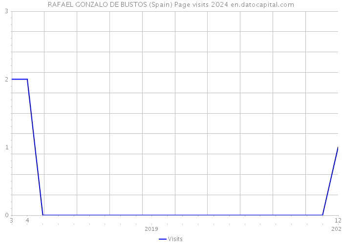 RAFAEL GONZALO DE BUSTOS (Spain) Page visits 2024 