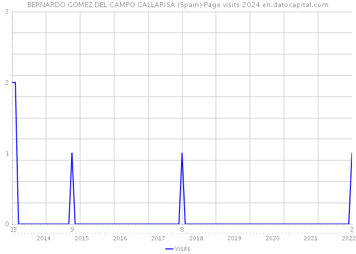 BERNARDO GOMEZ DEL CAMPO CALLARISA (Spain) Page visits 2024 