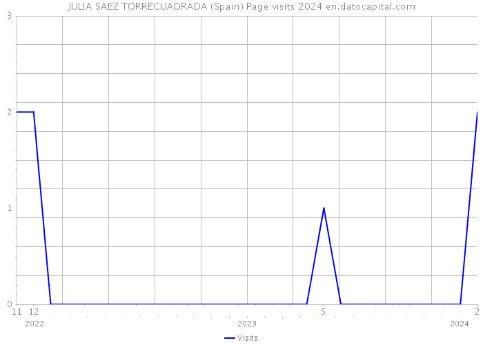 JULIA SAEZ TORRECUADRADA (Spain) Page visits 2024 