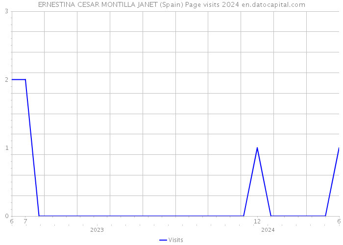 ERNESTINA CESAR MONTILLA JANET (Spain) Page visits 2024 
