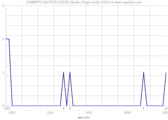 ROBERTO SANTOS COSTA (Spain) Page visits 2024 