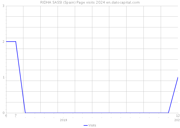 RIDHA SASSI (Spain) Page visits 2024 
