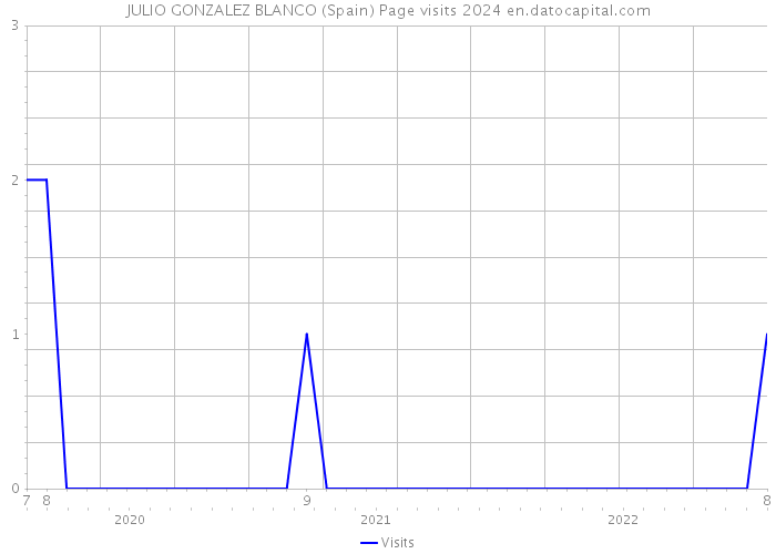 JULIO GONZALEZ BLANCO (Spain) Page visits 2024 