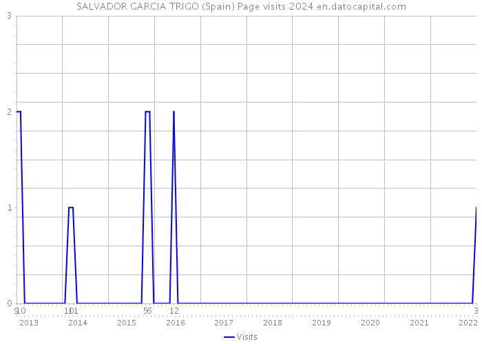 SALVADOR GARCIA TRIGO (Spain) Page visits 2024 