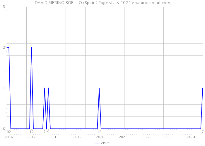 DAVID MERINO BOBILLO (Spain) Page visits 2024 