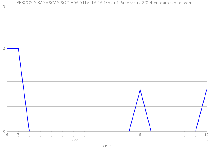 BESCOS Y BAYASCAS SOCIEDAD LIMITADA (Spain) Page visits 2024 