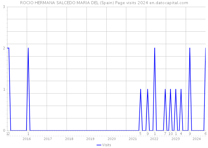 ROCIO HERMANA SALCEDO MARIA DEL (Spain) Page visits 2024 