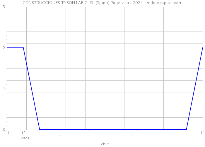 CONSTRUCCIONES TYSON LABICI SL (Spain) Page visits 2024 