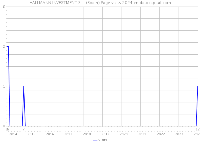 HALLMANN INVESTMENT S.L. (Spain) Page visits 2024 