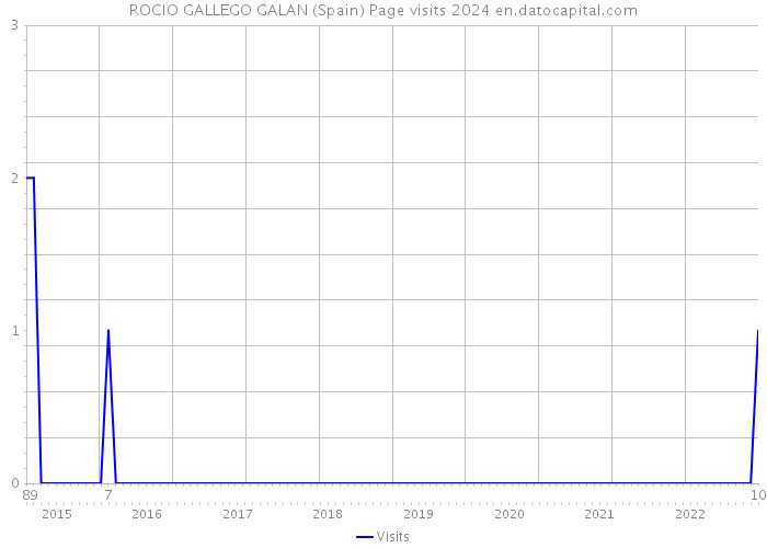 ROCIO GALLEGO GALAN (Spain) Page visits 2024 