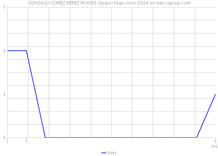 GONZALO GOMEZ PEREZ MOISES (Spain) Page visits 2024 