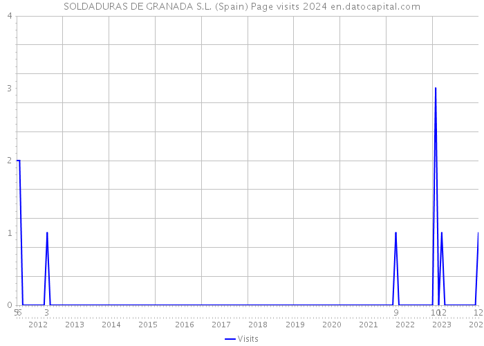 SOLDADURAS DE GRANADA S.L. (Spain) Page visits 2024 