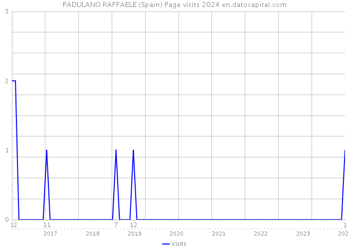 PADULANO RAFFAELE (Spain) Page visits 2024 