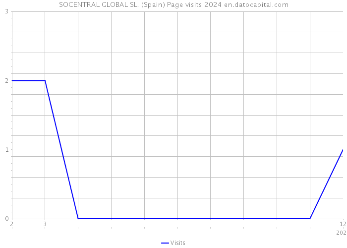 SOCENTRAL GLOBAL SL. (Spain) Page visits 2024 
