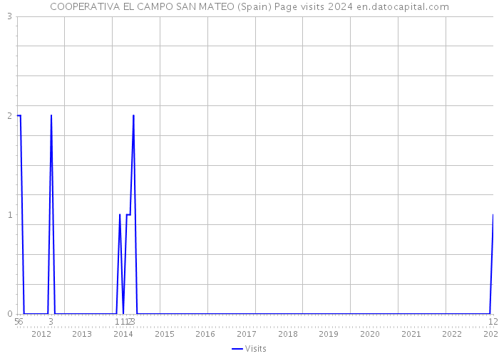 COOPERATIVA EL CAMPO SAN MATEO (Spain) Page visits 2024 