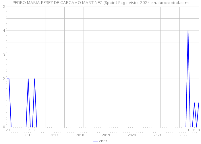 PEDRO MARIA PEREZ DE CARCAMO MARTINEZ (Spain) Page visits 2024 