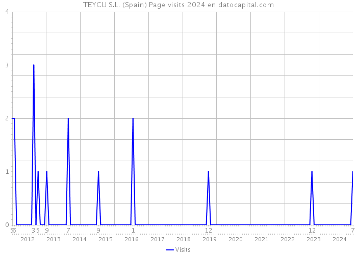 TEYCU S.L. (Spain) Page visits 2024 