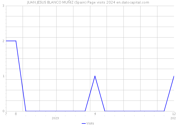 JUAN JESUS BLANCO MUÑIZ (Spain) Page visits 2024 