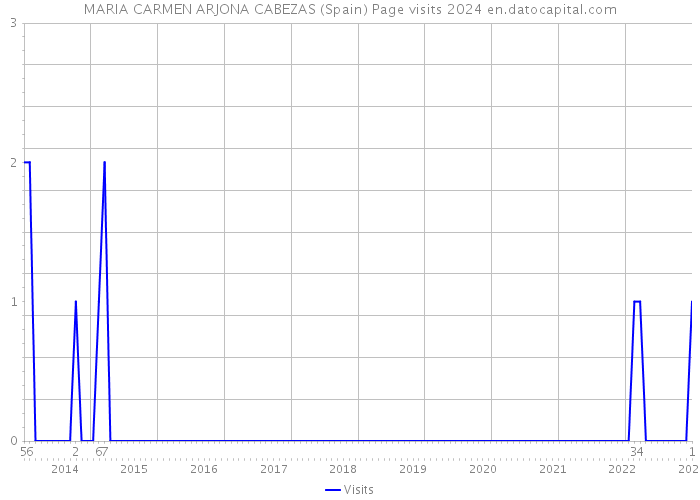 MARIA CARMEN ARJONA CABEZAS (Spain) Page visits 2024 