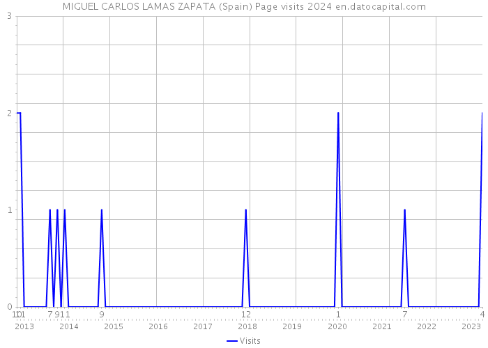 MIGUEL CARLOS LAMAS ZAPATA (Spain) Page visits 2024 