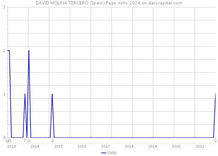 DAVID MOLINA TERCERO (Spain) Page visits 2024 