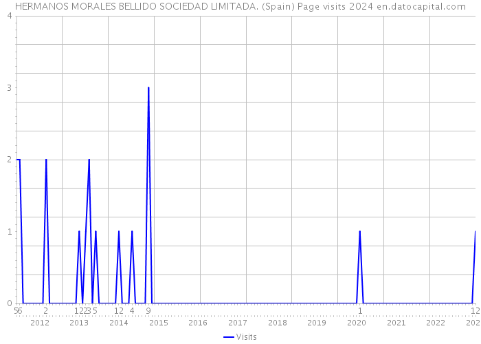 HERMANOS MORALES BELLIDO SOCIEDAD LIMITADA. (Spain) Page visits 2024 