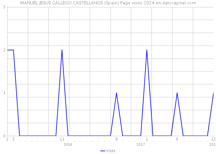 MANUEL JESUS GALLEGO CASTELLANOS (Spain) Page visits 2024 