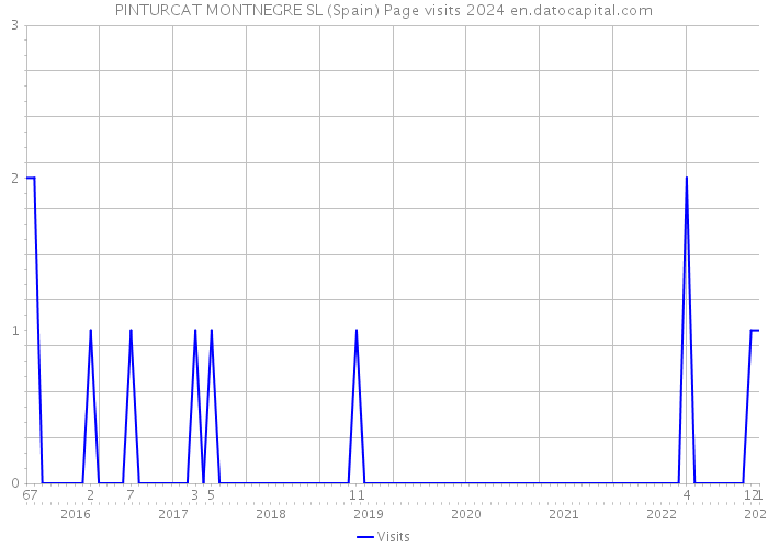 PINTURCAT MONTNEGRE SL (Spain) Page visits 2024 