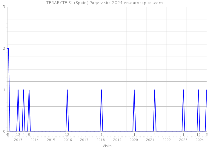 TERABYTE SL (Spain) Page visits 2024 