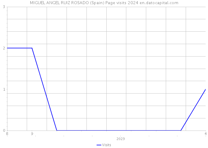 MIGUEL ANGEL RUIZ ROSADO (Spain) Page visits 2024 