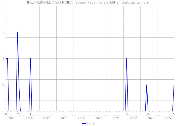 INES REBOREDO BRANDIDO (Spain) Page visits 2024 
