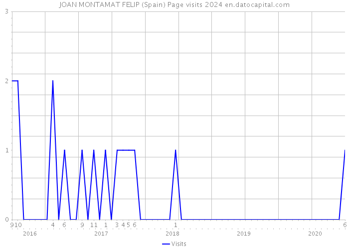 JOAN MONTAMAT FELIP (Spain) Page visits 2024 
