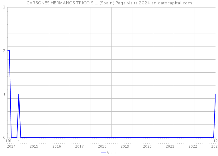 CARBONES HERMANOS TRIGO S.L. (Spain) Page visits 2024 