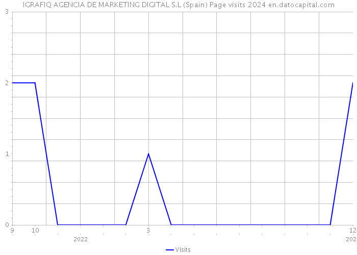 IGRAFIQ AGENCIA DE MARKETING DIGITAL S.L (Spain) Page visits 2024 