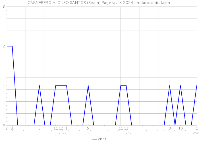 CARNERERO ALONSO SANTOS (Spain) Page visits 2024 