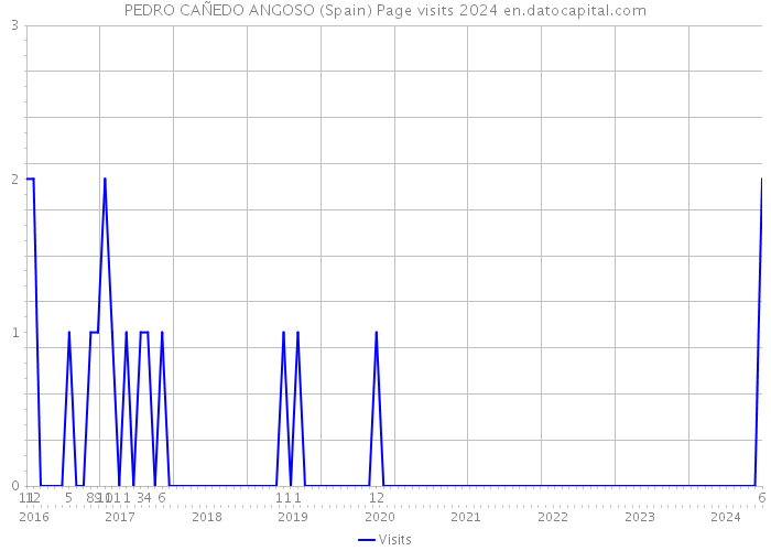 PEDRO CAÑEDO ANGOSO (Spain) Page visits 2024 
