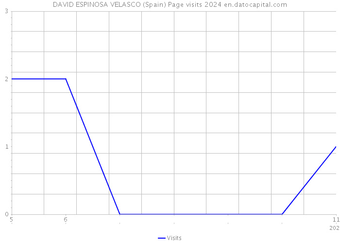 DAVID ESPINOSA VELASCO (Spain) Page visits 2024 