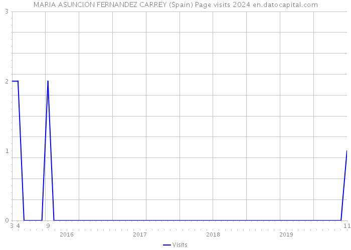 MARIA ASUNCION FERNANDEZ CARREY (Spain) Page visits 2024 