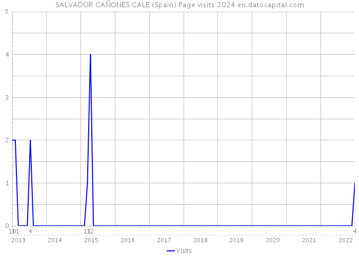 SALVADOR CAÑONES CALE (Spain) Page visits 2024 