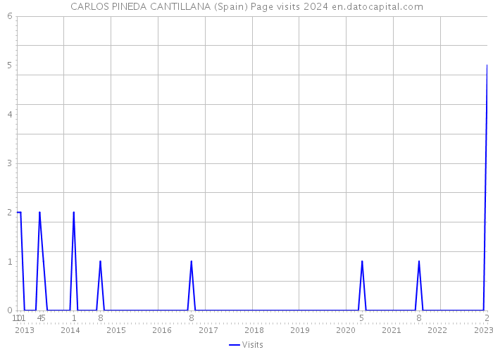 CARLOS PINEDA CANTILLANA (Spain) Page visits 2024 