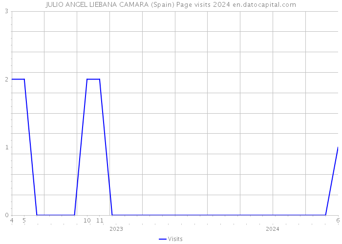 JULIO ANGEL LIEBANA CAMARA (Spain) Page visits 2024 