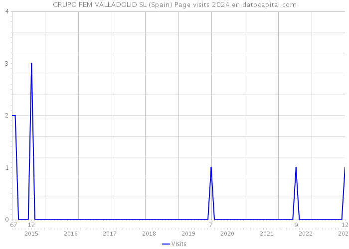 GRUPO FEM VALLADOLID SL (Spain) Page visits 2024 