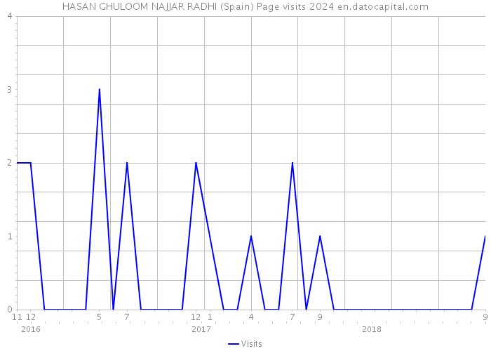 HASAN GHULOOM NAJJAR RADHI (Spain) Page visits 2024 